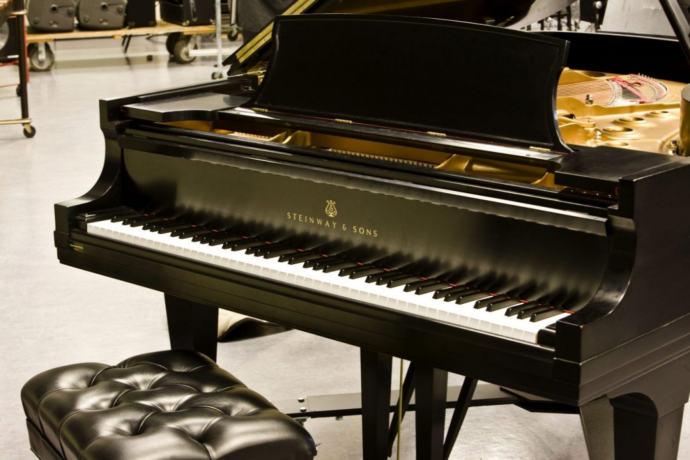 aborto Más grande cinturón Qué hace tan especiales a los pianos Steinway & Sons? - Sounds Market