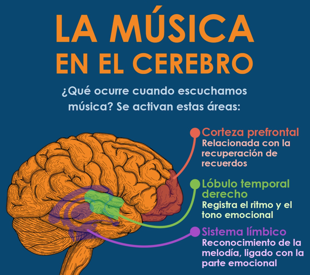 música, cerebro, gusto